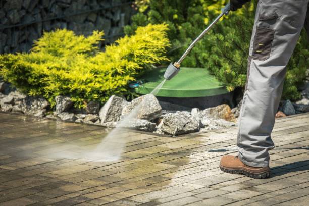 Best Solar Panel Cleaning  in Johnstown, NY